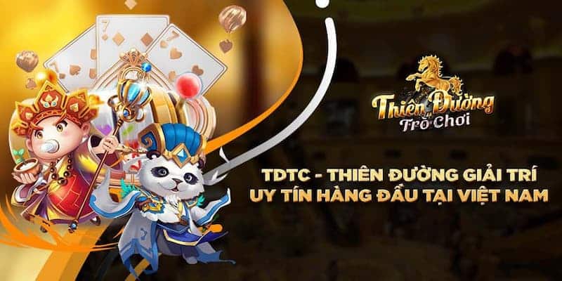 Giới thiệu chung về VIP TDTC