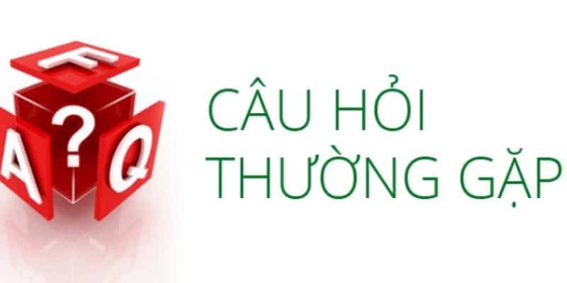 Liên hệ giải đáp những câu hỏi thường gặp 