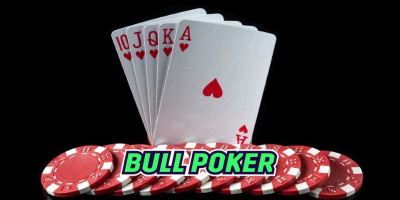 Poker bull có những thành phần nào? 