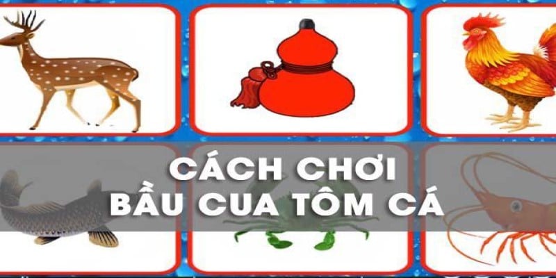 Hướng dẫn cách chơi game bầu cua online tại TDTC